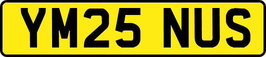 YM25NUS