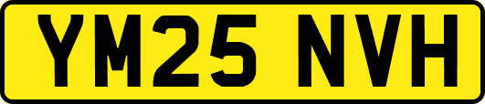 YM25NVH