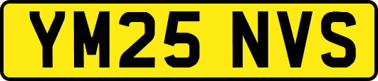 YM25NVS