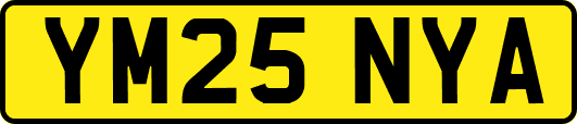 YM25NYA