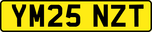 YM25NZT