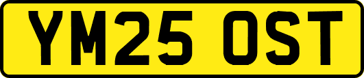 YM25OST