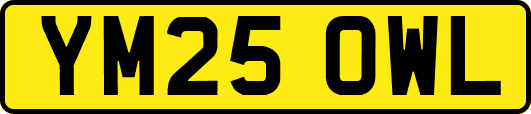 YM25OWL