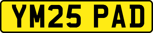 YM25PAD