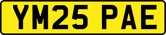 YM25PAE