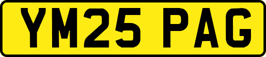 YM25PAG