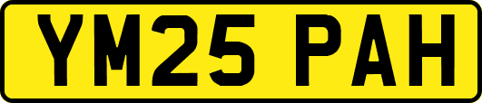 YM25PAH