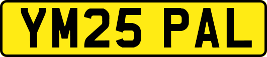 YM25PAL