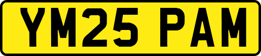YM25PAM