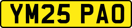 YM25PAO