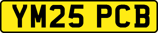 YM25PCB
