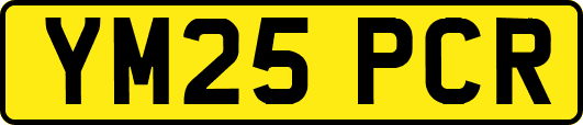 YM25PCR