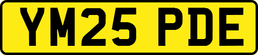 YM25PDE