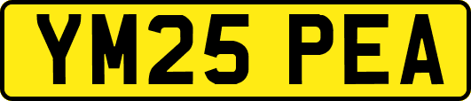 YM25PEA