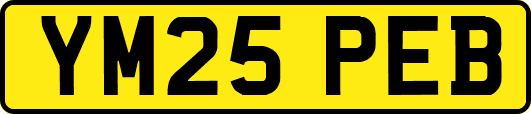 YM25PEB