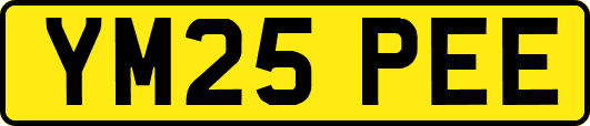 YM25PEE