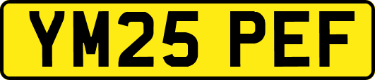 YM25PEF