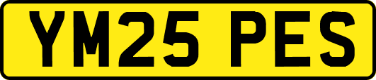 YM25PES