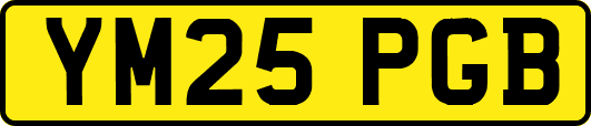 YM25PGB