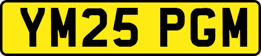 YM25PGM