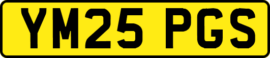 YM25PGS