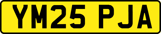 YM25PJA