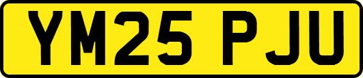 YM25PJU
