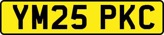 YM25PKC