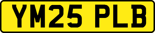 YM25PLB
