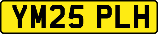 YM25PLH