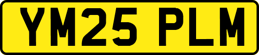 YM25PLM