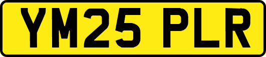 YM25PLR