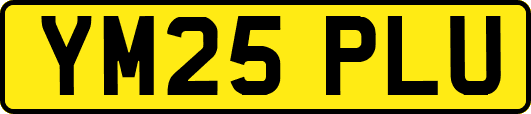 YM25PLU