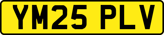 YM25PLV