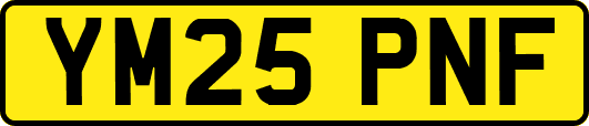 YM25PNF