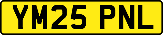 YM25PNL