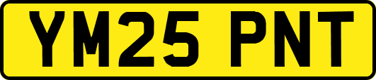 YM25PNT