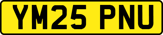 YM25PNU
