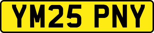 YM25PNY