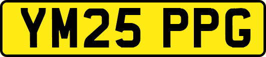 YM25PPG