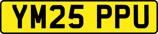 YM25PPU
