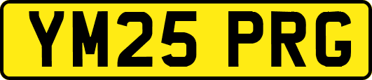YM25PRG