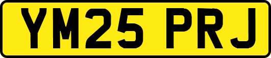 YM25PRJ
