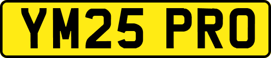 YM25PRO