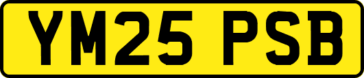 YM25PSB