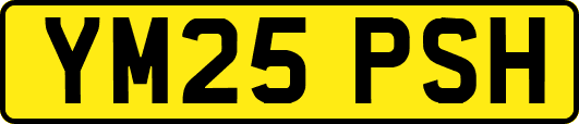 YM25PSH