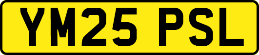 YM25PSL