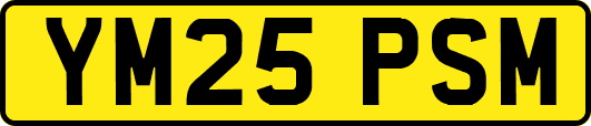 YM25PSM