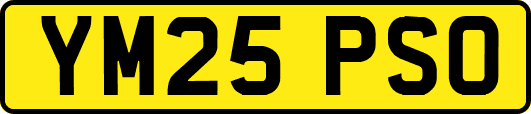YM25PSO