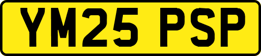 YM25PSP